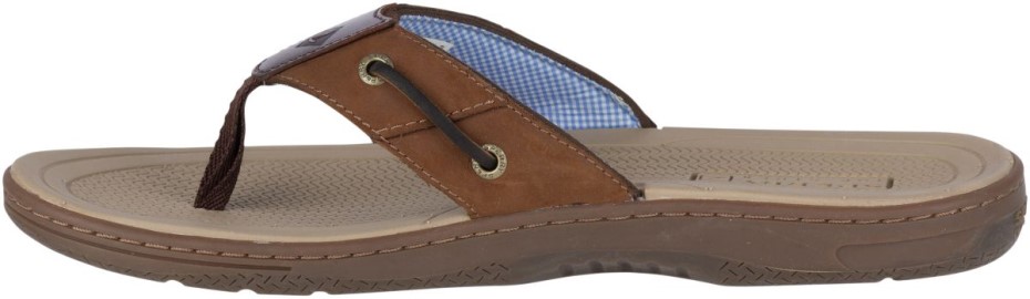 Baitfish Chanclas Marrón Sperry