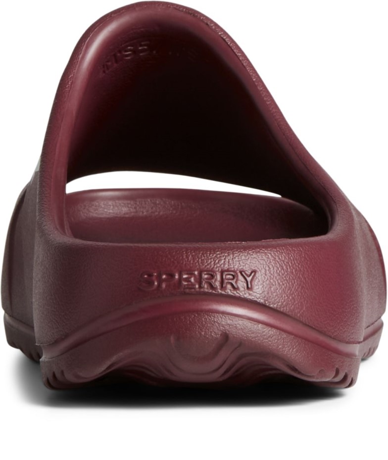 Sandalia Float Slide Logo Cordovan Sperry