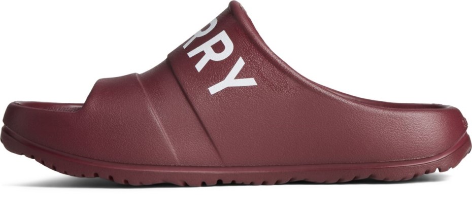 Sandalia Float Slide Logo Cordovan Sperry