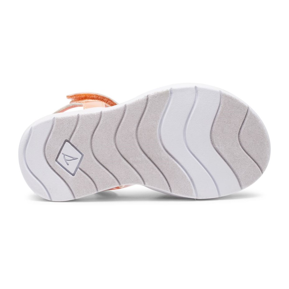 Sandalia Galley Plushwave Sperry Multi