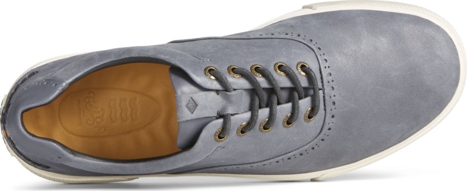 Copa De Oro Striper Plushwave Cvo Brogue Zapatilla De Deporte Negro Sperry