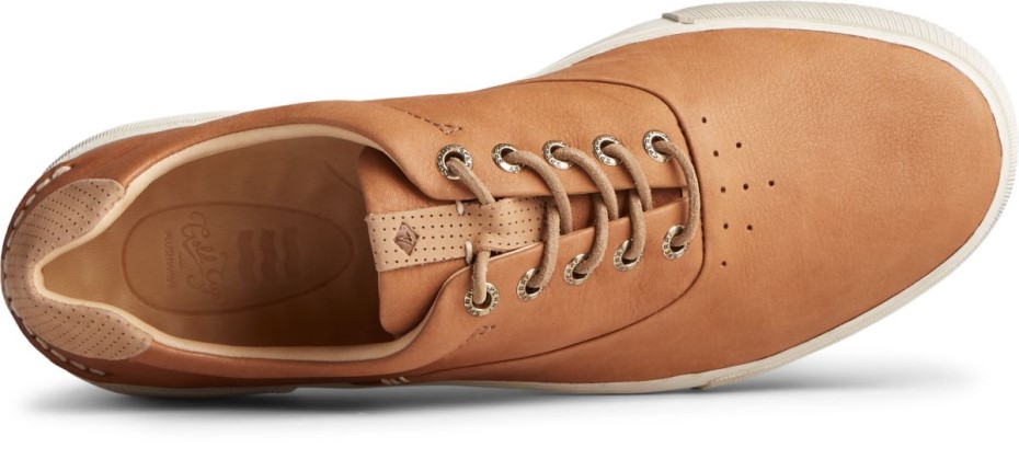 Copa Dorada Striper Plushwave Cvo Zapatilla De Deporte Soft Tan Sperry