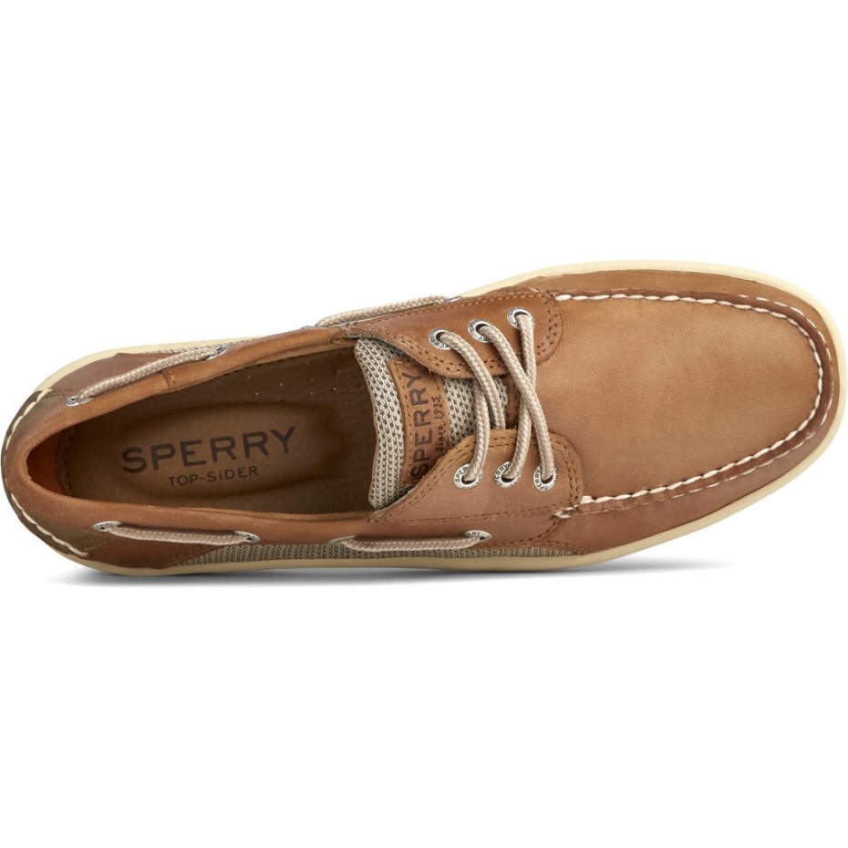 Náuticos Para Hombre Billfish Con 3 Ojales Marrón Oscuro Sperry