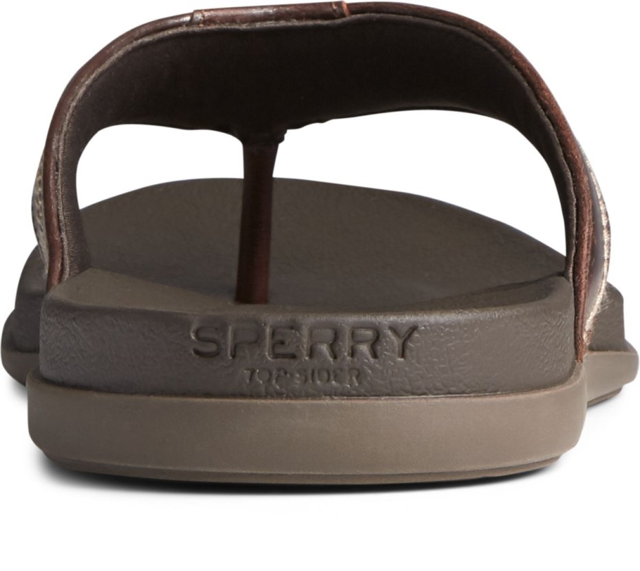 Chanclas De Muelle Plushwave Marrón Sperry