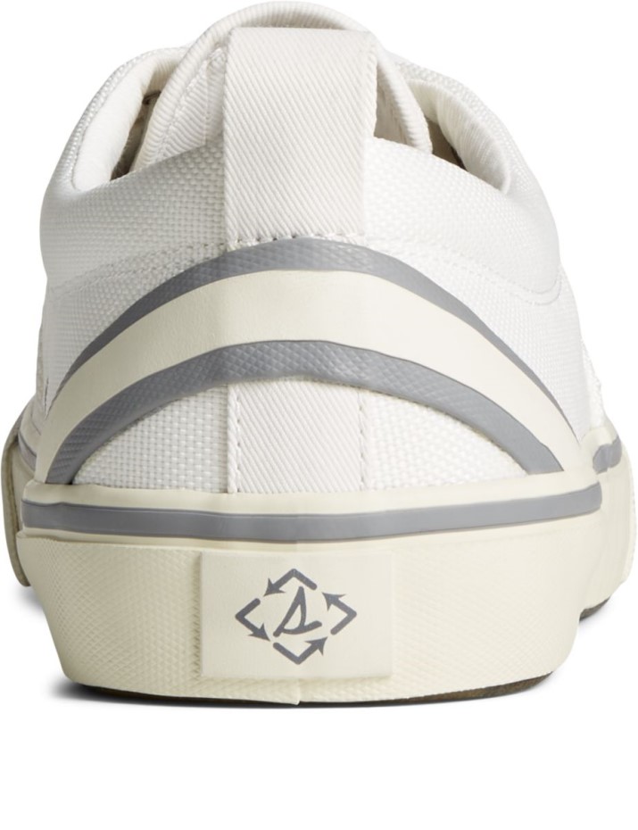 Zapatilla Seacycled Striper Ii Cvo Blanco Sperry