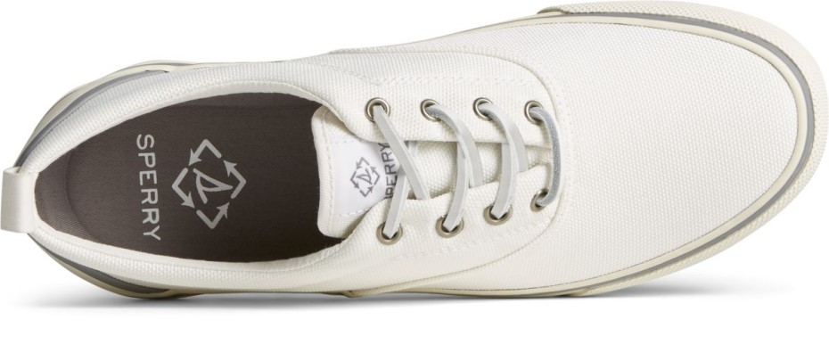 Zapatilla Seacycled Striper Ii Cvo Blanco Sperry