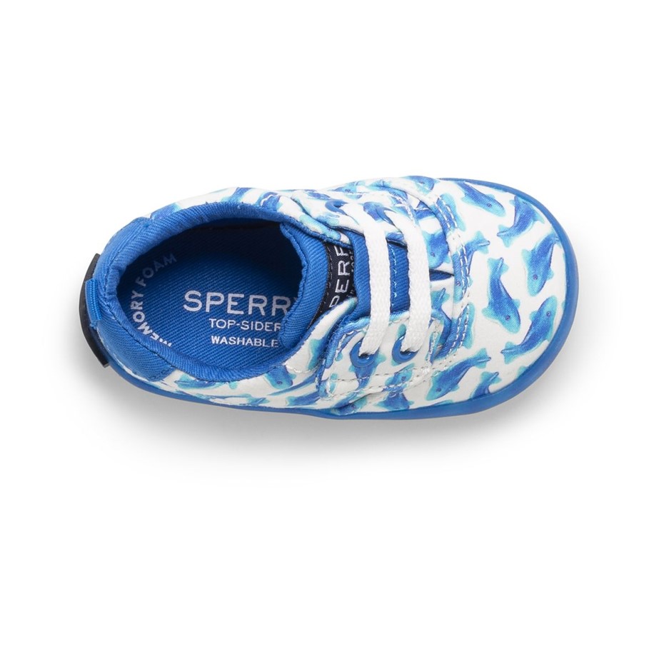 Spinnaker Cuna Junior Zapatillas Lavables Blanco Azul Sperry