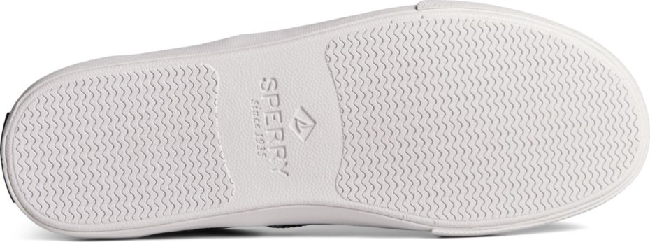 Striper Ii Cvo Americana Zapatilla Azul Multi Sperry