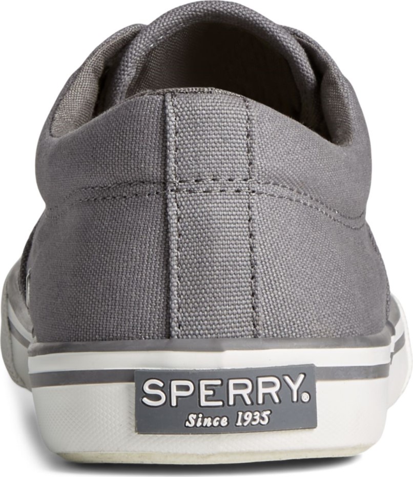 Zapatilla Striper Ii Cvo Gris Sperry
