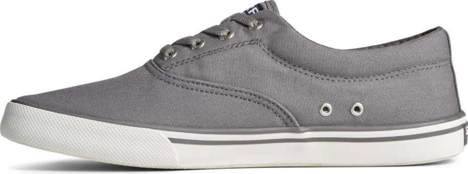 Zapatilla Striper Ii Cvo Gris Sperry