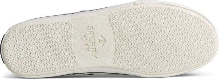 Zapatilla Striper Ii Cvo Gris Sperry