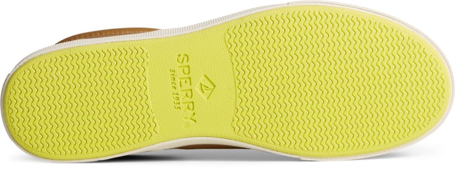 Zapatillas Striper Plushwave Cvo Sperry Tan