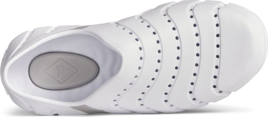 Sperry Zancudo De Agua